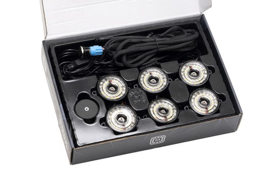 Morimoto Rock Lights